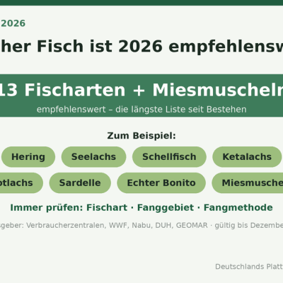 Infografik Guter Fisch-Liste 2026: 13 Fischarten plus Miesmuscheln empfehlenswert, darunter Hering, Seelachs, Schellfisch, Ketalachs, Rotlachs und Sardelle. Immer prüfen: Fischart, Fanggebiet, Fangmethode. Gültig bis Dezember 2026.
