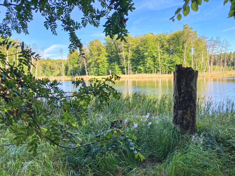 Seenparklandschaft Natonalpark Müritz