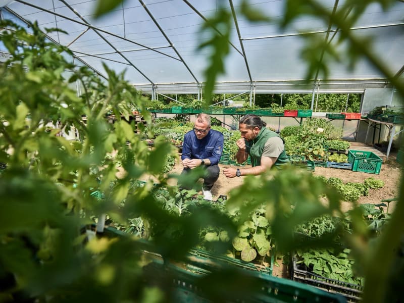 Küchenchef und Gärtner probieren die neuen Kräuter im Gewächshaus | © die Fleckenbühler
