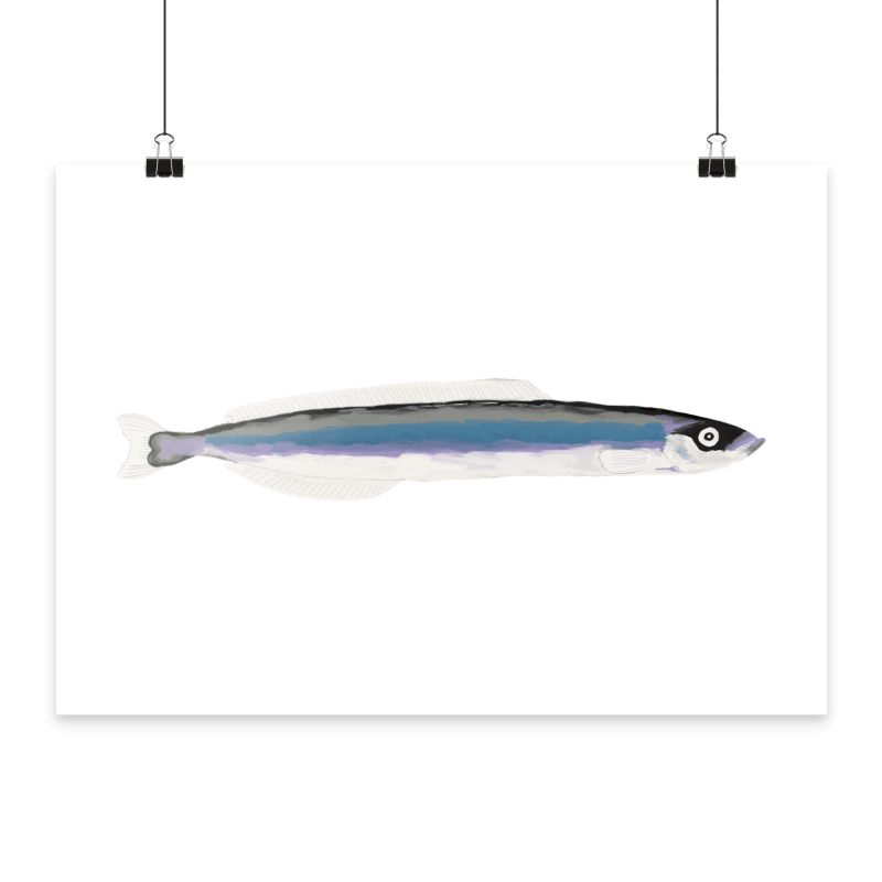 Sandaal-Illustration, Poster mit Galeriedruck-Qualität | © Julia Mähler