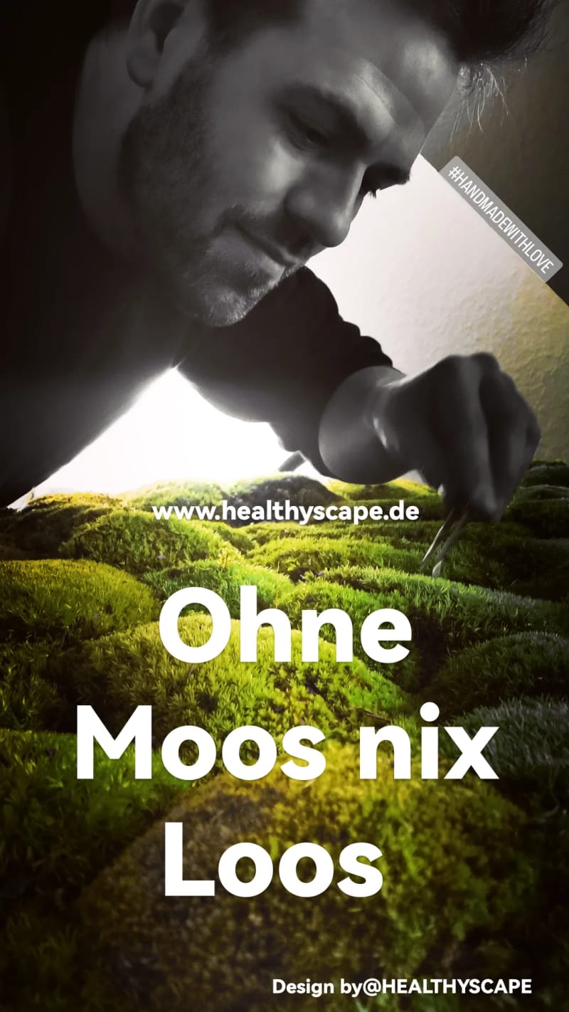 Ohne Moos nix Loos | © Design by Healthyscape Martin Schinköth 2024