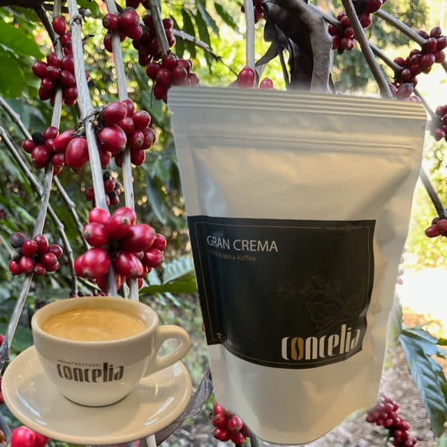 Concelia Coffee GmbH | © Concelia Coffee GmbH