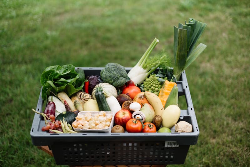 Saisonkiste im September mit Kohl, Lauch, Tomaten und Wurzelgemüse | © Das Gemüseabo GmbH