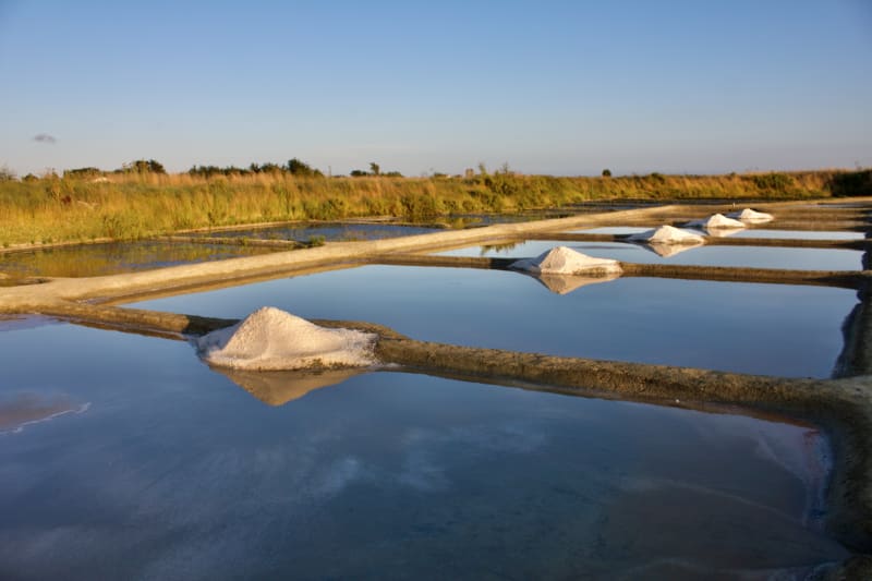 Unser Salzgarten liegt mitten im Naturschutzgebiet | © Delidia