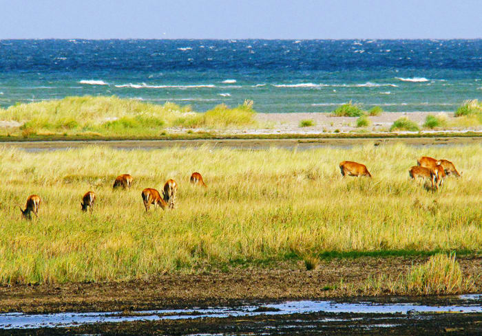 © Nationalpark-Reisen