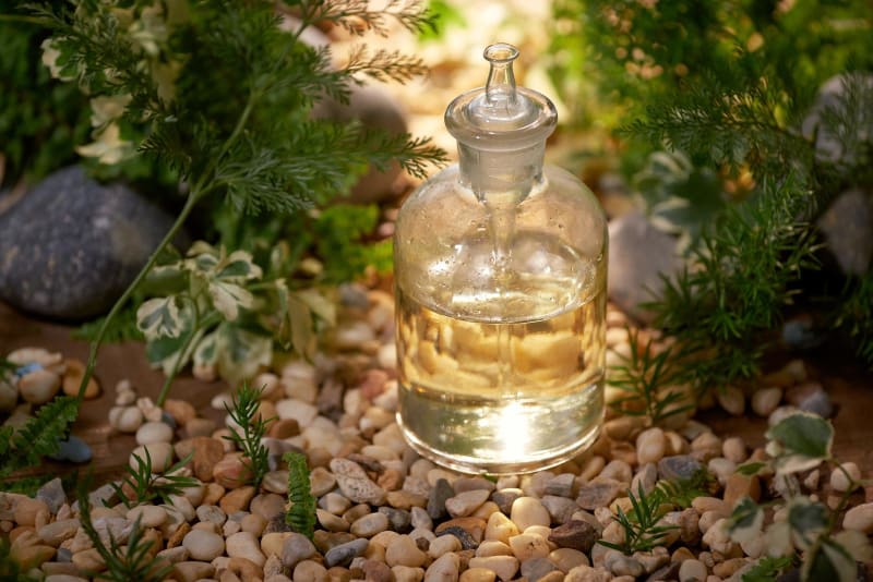 Wissenschaftler mit Forschungsschwerpunkten in den Bereichen Naturheilmittel, natürliche organische Botanik und wissenschaftliche Glasgeräte