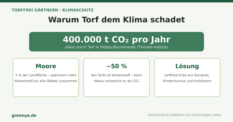 Warum Torf dem Klima schadet. Allein durch Torf in Hobby-Blumenerde entstehen rund 400.000 Tonnen CO₂ pro Jahr (Thünen-Institut). Moore bedecken 3 Prozent der Landfläche, speichern aber mehr Kohlenstoff als alle Wälder zusammen; Torf besteht zu rund 50 Prozent aus Kohlenstoff. Lösung: torffreie Erde aus Kompost, Rindenhumus und Holzfasern.