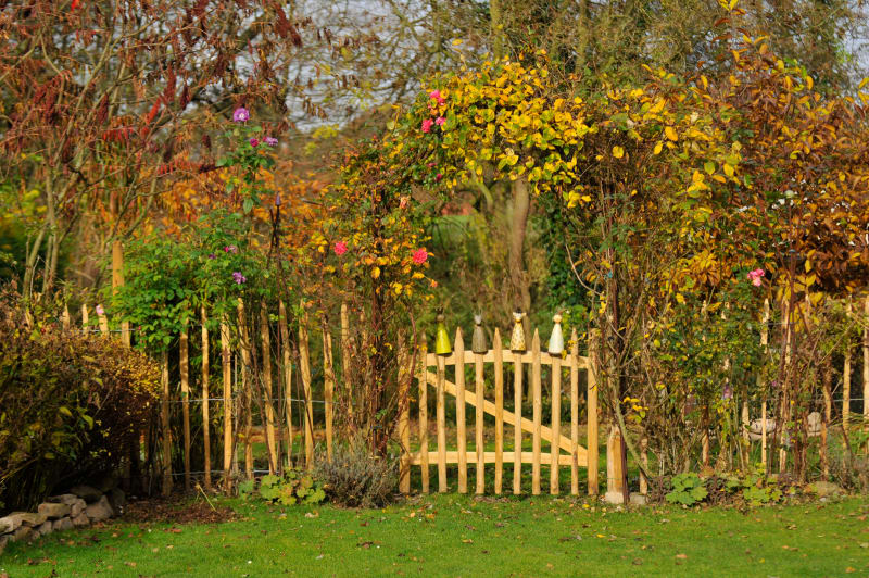Gartentor aus Kastanienholz-Staketen im herbstlichen Garten | © Michael Graen Naturwaren