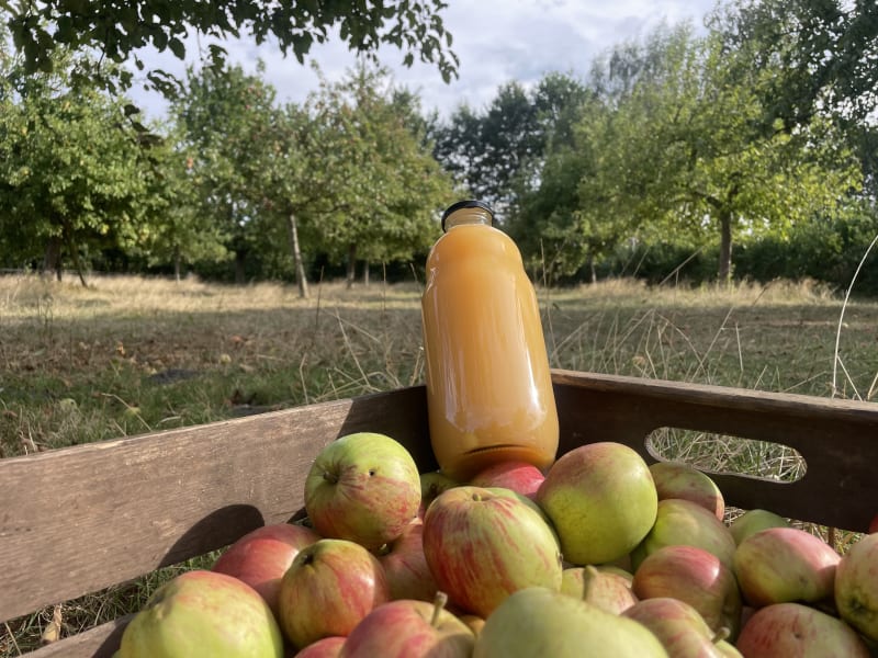 Aus deinem Obst wird Dein Saft | © nordappel