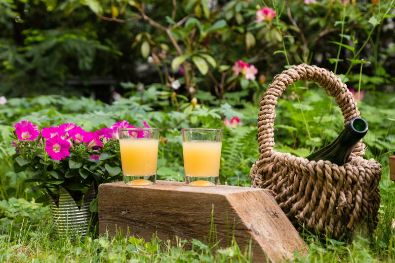 Sortenreiner Apfelsaft im Glas