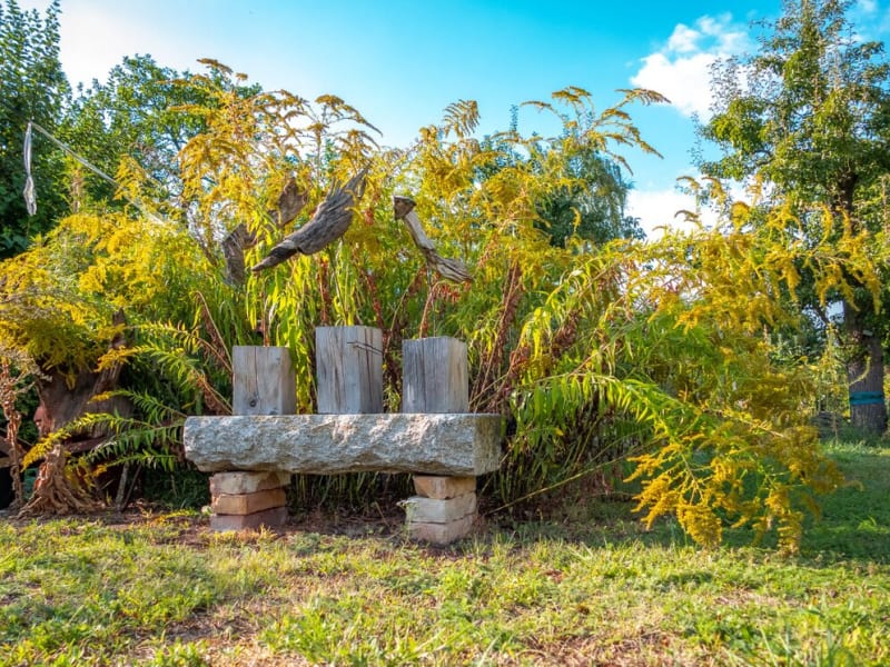 Holzbank im Sommergarten von Lew Bio in Prenzlau zwischen Gräsern und Stauden | © Agentur Reichenberger