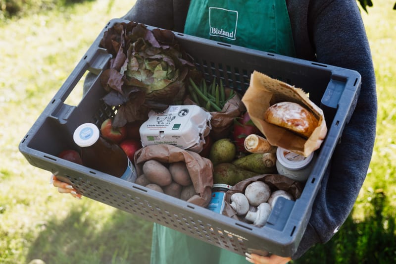 Die Genuss-Vielfalt-Box mit Obst, Gemüse, Brot und Frühstücksartikeln in Bio-Qualität wird getragen | © Das Gemüseabo GmbH