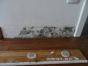Schimmelschaden an einer Fensterbank: Ausgangspunkt für Gutachten und Sanierungskonzept | © Natürliche Lebensräume Bauplanungsbüro Marx