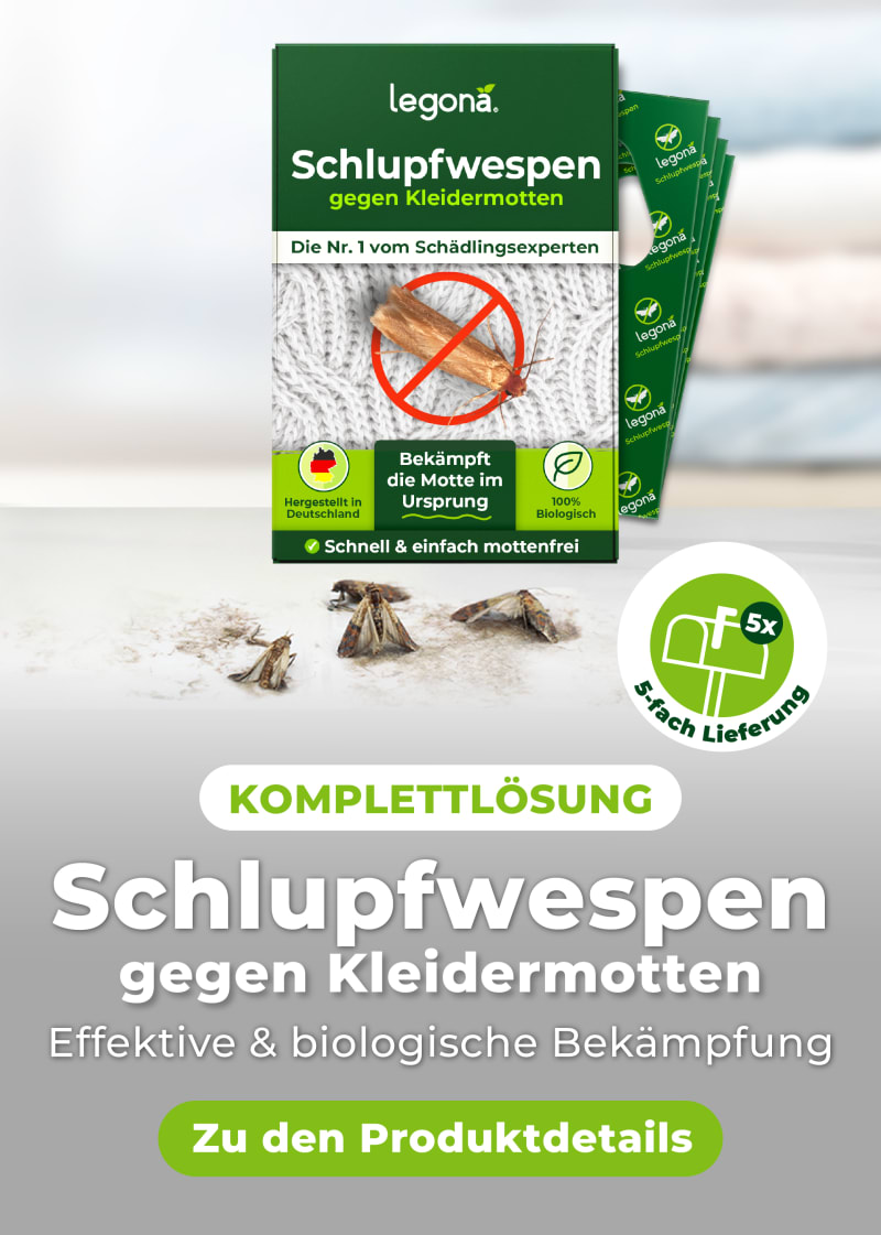 Legona Schlupfwespen gegen Kleidermotten | © ©Legona