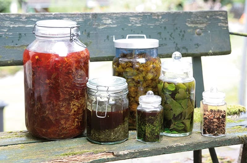 Pflanzenauszüge und Tinkturen aus eigener Herstellung in der Grünen Mühle | © GRÜNE MÜHLE Naturkosmetik®