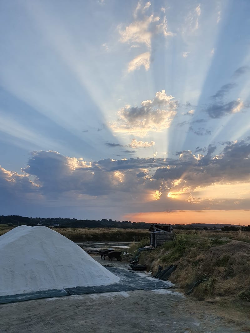 Ende der Ernte: Das sind 8000 kg Meersalz, handgeschöpft | © Delidia