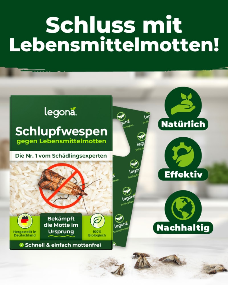 Schluss mit Lebensmittelmotten | © ©Legona