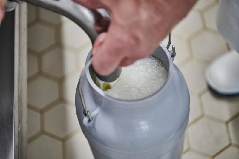 Hofeigene Milch | © die Fleckenbühler