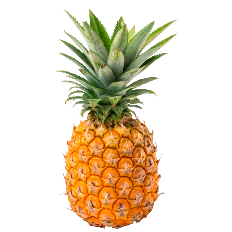 Anannas - Natur.com | © Natur.com
