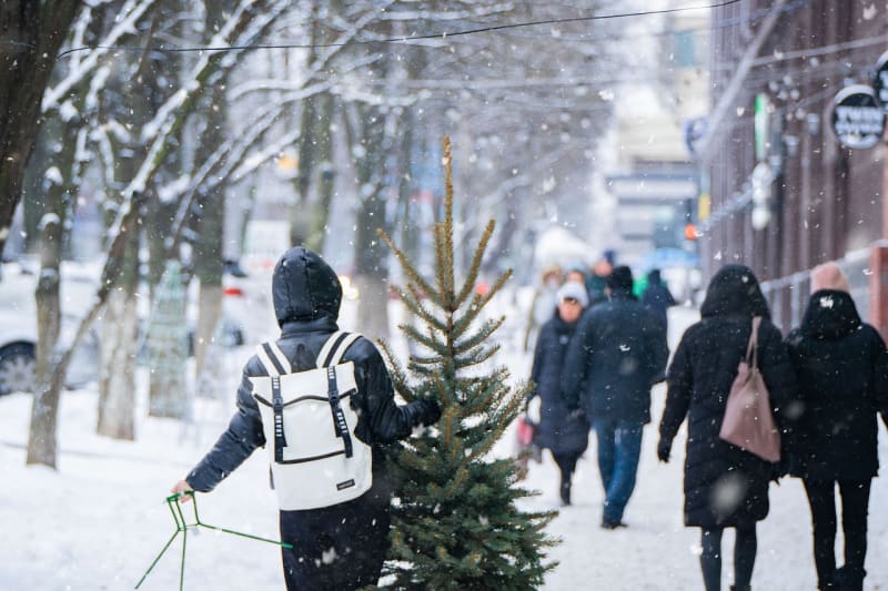 Weihnachtsbaum wird von Mann getragen