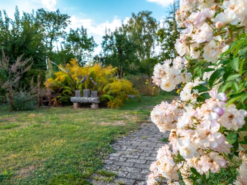 Gartenweg mit blühenden Rosen im Garten hinter dem Lew Naturkostladen | © Agentur Reichenberger