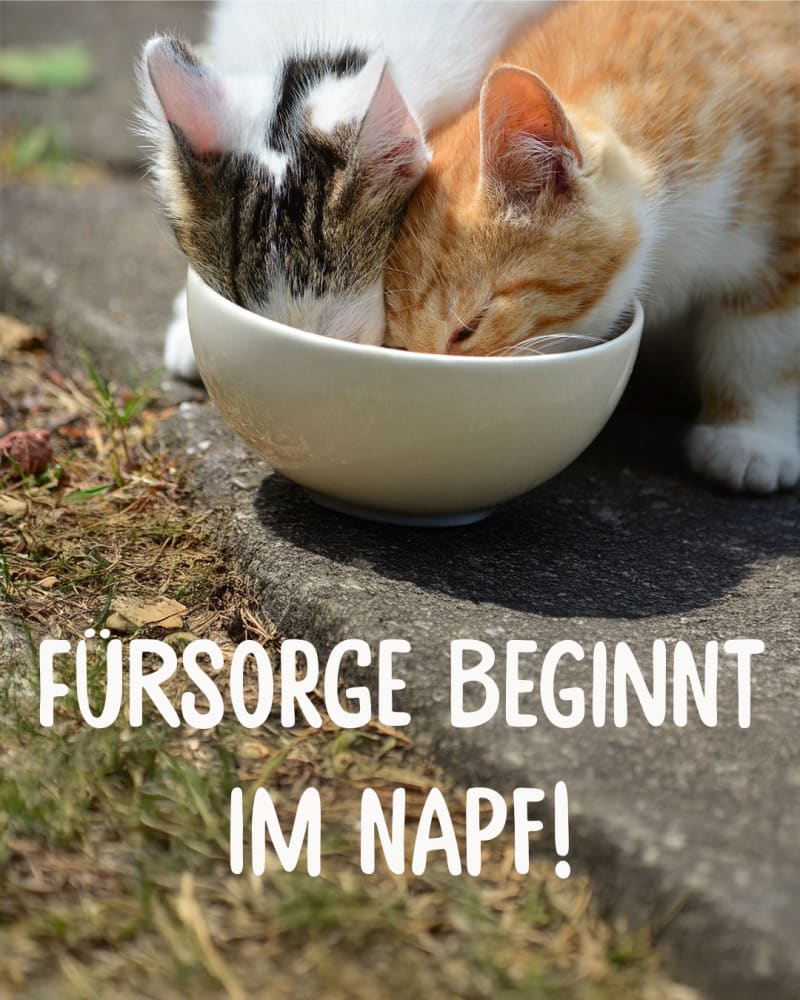 © defu Demeter-Felderzeugnisse GmbH