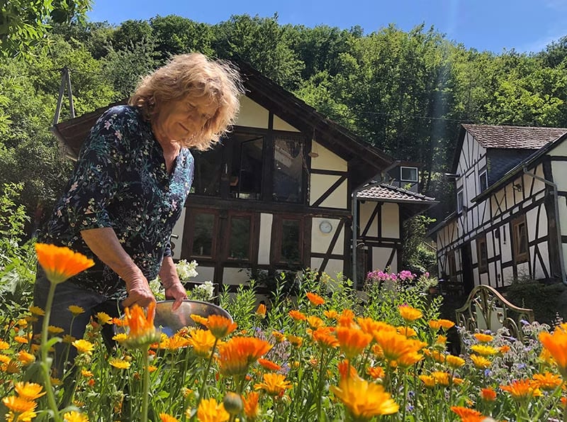 Ringelblumen-Ernte im eigenen Kräutergarten der Grünen Mühle | © GRÜNE MÜHLE Naturkosmetik®