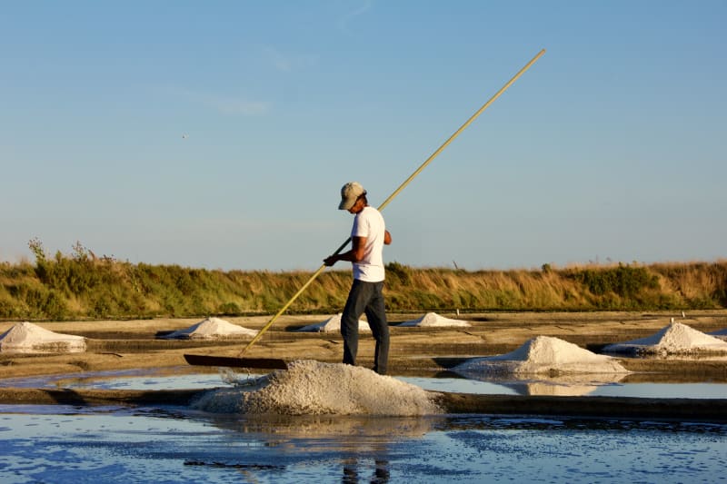 Fleur de Sel Ernte | © Delidia
