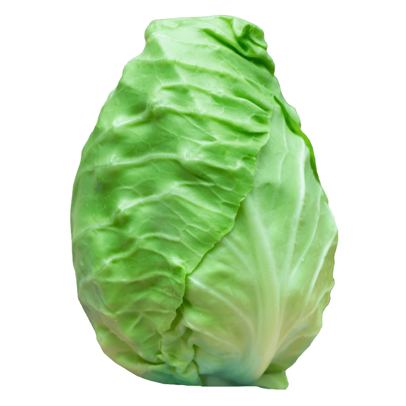 Spitzkohl - Natur.com | © Natur.com