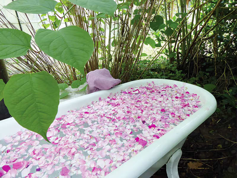 Rosenblütenbad mit Naturkosmetik der Grünen Mühle | © GRÜNE MÜHLE Naturkosmetik®
