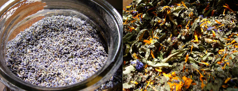 Große Auswahl an Kräuter & Tees | © MISTEL Kräuter Kosmetik GbR