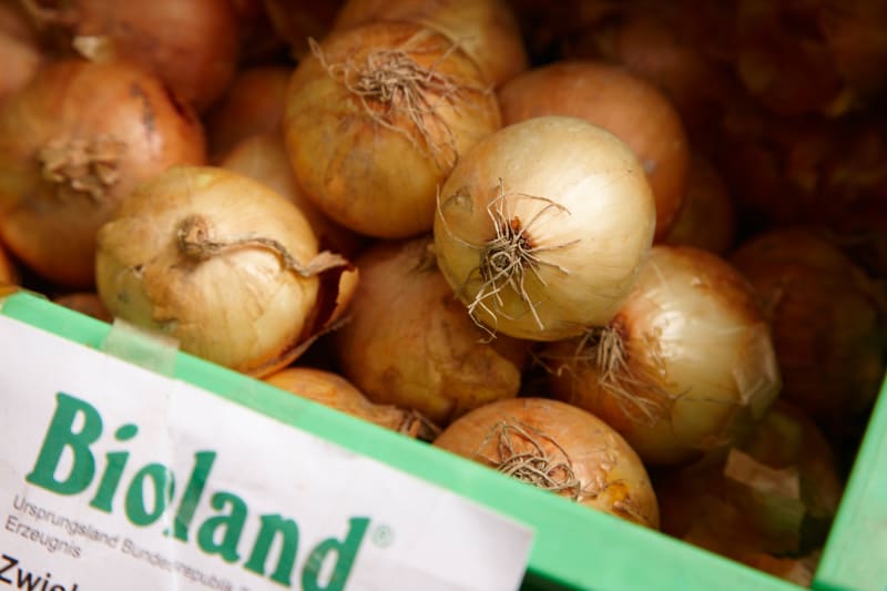 Frische Bio-Zwiebeln | © Juerco Boerner Fotografie