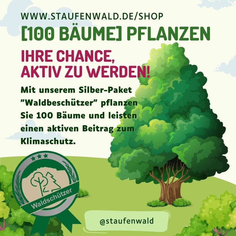 100 Bäume pflanzen | © Staufenwald