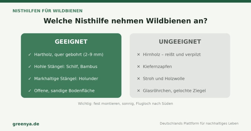 Vergleichsgrafik geeignete und ungeeignete Nisthilfen für Wildbienen. Geeignet: Hartholz quer gebohrt (2–9 mm), hohle Stängel aus Schilf und Bambus, markhaltige Stängel von Holunder, offene sandige Bodenfläche. Ungeeignet: Hirnholz, Kiefernzapfen, Stroh, Glasröhrchen.