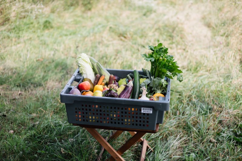 Saisonkiste im Oktober mit Herbstgemüse und Obst der Saison | © Das Gemüseabo GmbH