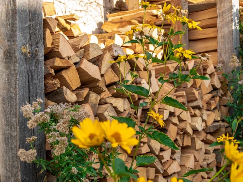 Gestapeltes Brennholz für den Holzbackofen der Lew Biobäckerei, davor blühende Stauden | © Agentur Reichenberger