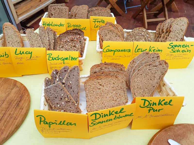 Auslage mit angeschnittenen Biobroten der Lew Bäckerei, darunter Lucy, Campanera, Papillon und Dinkel pur | © LEW BIO