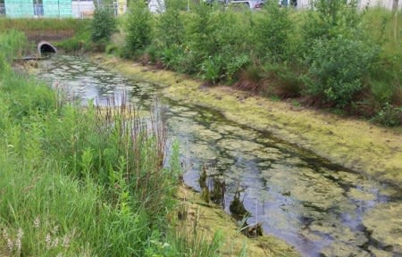 Probenahme von Oberflächenwasser | © LAFU GmbH