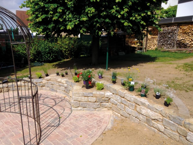 FriederikeBittcher.jpg null