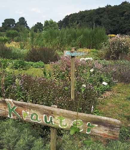 IMG_20170826_141554.jpg null