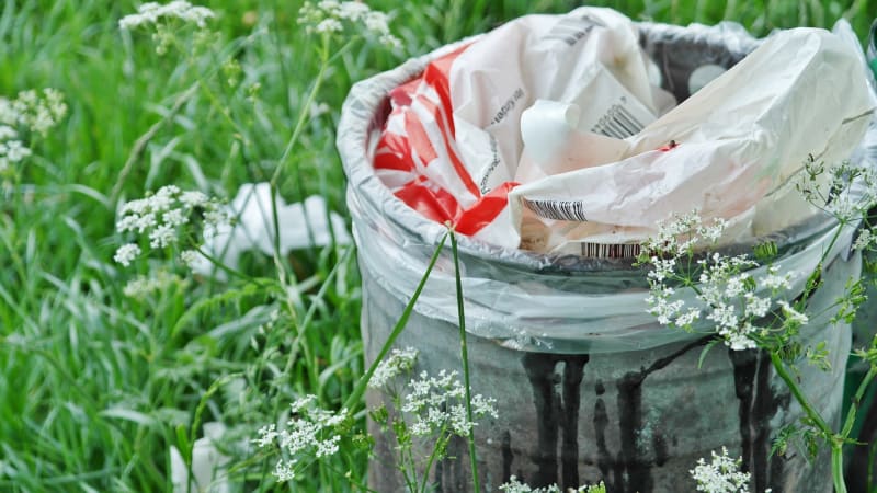 garbage-can-1423840_1920.jpg null