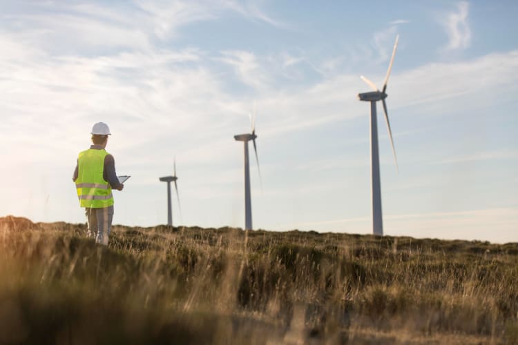 felder-fuer-windparks.jpg null