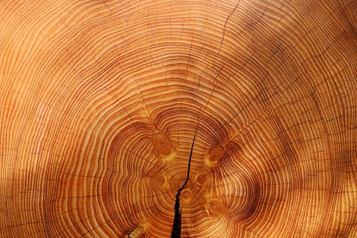 holz.jpg null