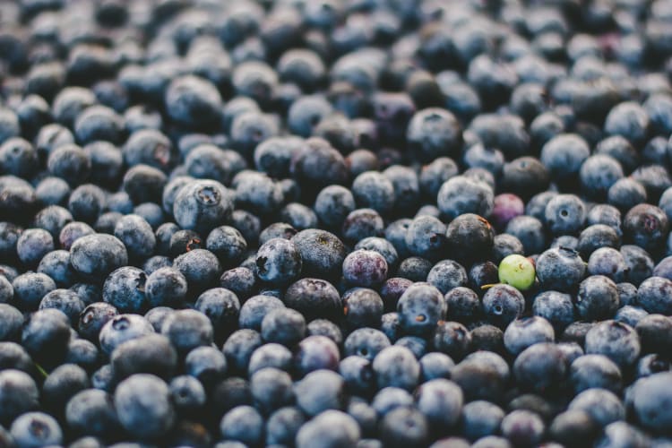 jessica-ruscello-Heidelbeeren-unsplash.jpg null