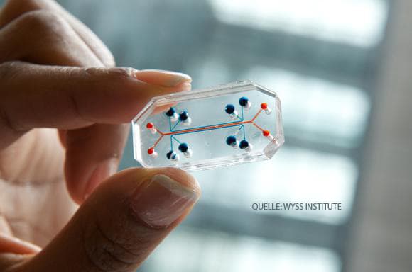 lung-on-chip_large.jpg null