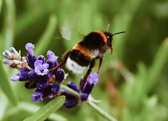 maurits-bausenhart-WEDl-AXEgZg-unsplash.jpg null