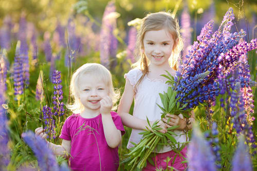 fotolia_66780352.jpg null
