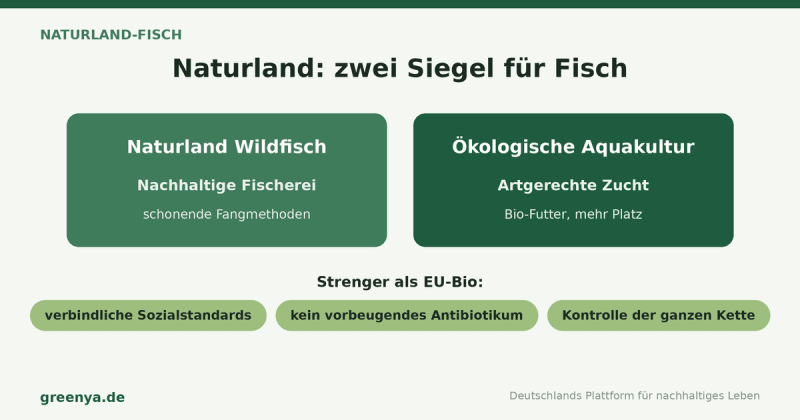 Infografik Naturland-Fisch: zwei Siegel – Naturland Wildfisch für nachhaltige Fischerei und ökologische Aquakultur für artgerechte Zucht. Strenger als EU-Bio, mit verbindlichen Sozialstandards und ohne vorbeugendes Antibiotikum.