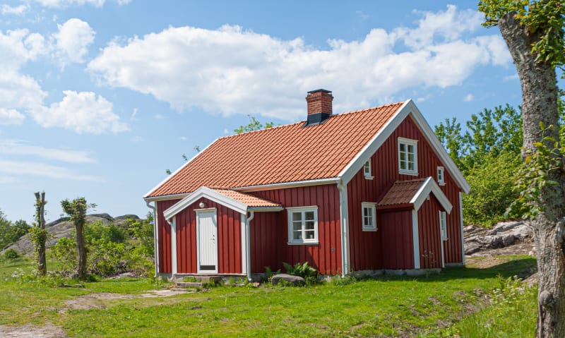 pexels-trygve-finkelsen-2893177.jpg null