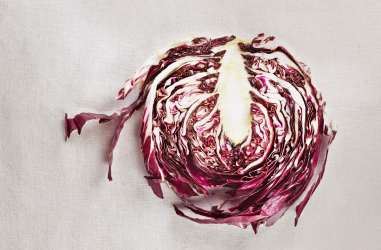 Ein wunderschönes Stück Radicchio auf einem weißen Tuch, Blattgemüse mit weiß geäderten roten Blättern